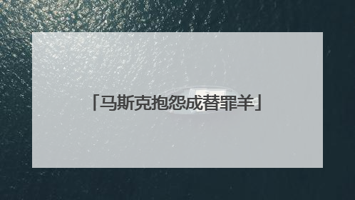 马斯克抱怨成替罪羊