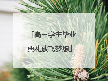 高三学生毕业典礼放飞梦想