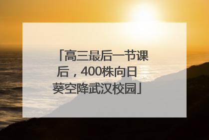 高三最后一节课后，400株向日葵空降武汉校园
