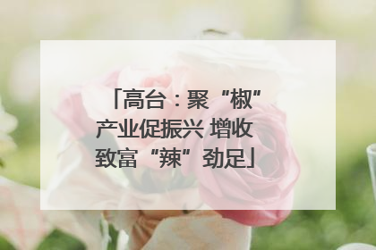 高台：聚“椒”产业促振兴 增收致富“辣”劲足