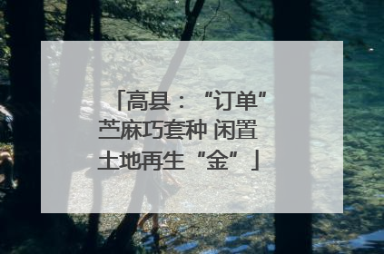 高县：“订单”苎麻巧套种 闲置土地再生“金”