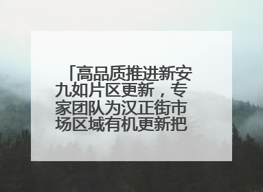 高品质推进新安九如片区更新，专家团队为汉正街市场区域有机更新把脉问诊