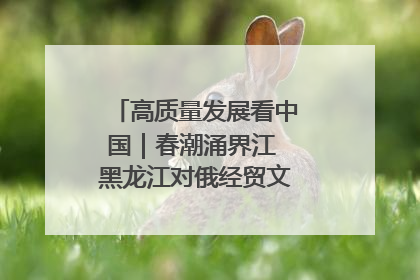 高质量发展看中国｜春潮涌界江 黑龙江对俄经贸文旅交流绿意盎然