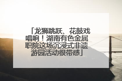 龙狮跳跃、花鼓戏唱响！湖南有色金属职院这场沉浸式非遗游园活动很带感