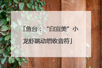 鱼台：“白富美”小龙虾跳动增收音符