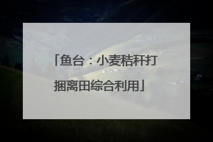 鱼台：小麦秸秆打捆离田综合利用