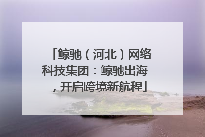 鲸驰（河北）网络科技集团：鲸驰出海，开启跨境新航程