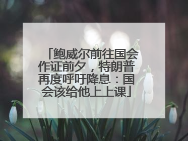 鲍威尔前往国会作证前夕，特朗普再度呼吁降息：国会该给他上上课