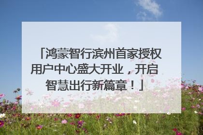 鸿蒙智行滨州首家授权用户中心盛大开业，开启智慧出行新篇章！