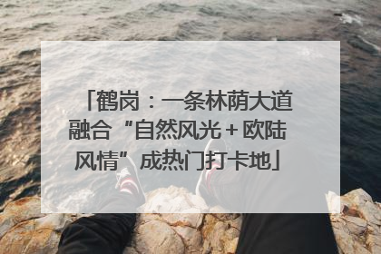 鹤岗：一条林荫大道融合“自然风光＋欧陆风情”成热门打卡地
