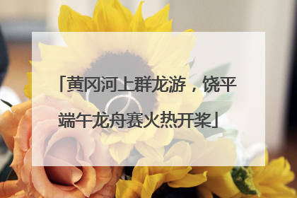 黄冈河上群龙游，饶平端午龙舟赛火热开桨