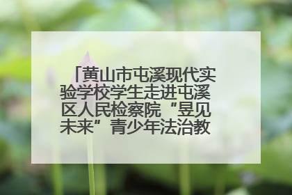 黄山市屯溪现代实验学校学生走进屯溪区人民检察院“昱见未来”青少年法治教育宣传基地