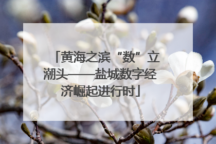 黄海之滨“数”立潮头——盐城数字经济崛起进行时