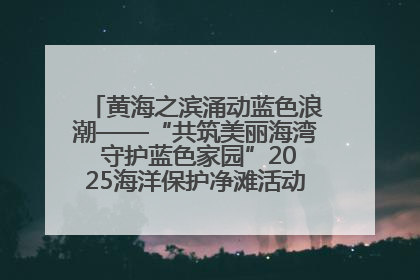 黄海之滨涌动蓝色浪潮——“共筑美丽海湾 守护蓝色家园”2025海洋保护净滩活动暨“美丽江苏—江河湖海青蓝行”海洋篇在连云港举行