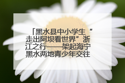 黑水县中小学生“走出阿坝看世界”浙江之行——架起海宁黑水两地青少年交往交流交融新桥梁