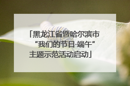 黑龙江省暨哈尔滨市“我们的节日·端午”主题示范活动启动