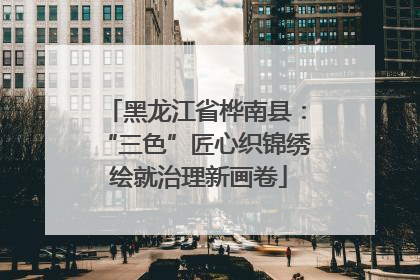 黑龙江省桦南县：“三色”匠心织锦绣 绘就治理新画卷