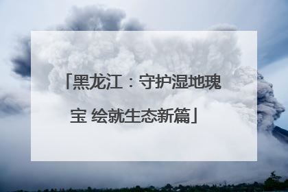 黑龙江：守护湿地瑰宝 绘就生态新篇