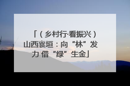 （乡村行·看振兴）山西襄垣：向“林”发力 借“绿”生金