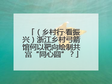 （乡村行·看振兴）浙江乡村弓箭馆何以靶向绘制共富“同心圆”？