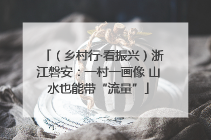 （乡村行·看振兴）浙江磐安：一村一画像 山水也能带“流量”