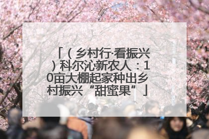 （乡村行·看振兴）科尔沁新农人：10亩大棚起家种出乡村振兴“甜蜜果”