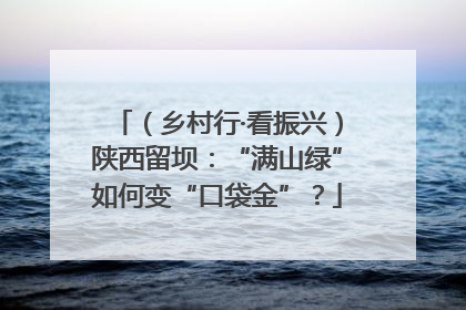 （乡村行·看振兴）陕西留坝：“满山绿”如何变“口袋金”？