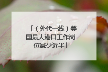 （外代一线）美国最大港口工作岗位减少近半