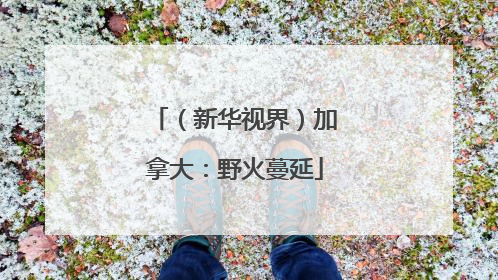 （新华视界）加拿大：野火蔓延
