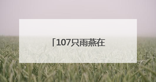 107只雨燕在颐和园完成“年度体检”，北京雨燕数量已超一万只