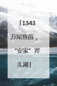 1343万尾鱼苗，“安家”斧头湖