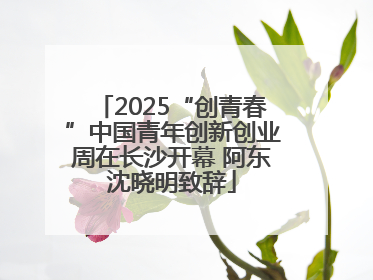 2025“创青春”中国青年创新创业周在长沙开幕 阿东沈晓明致辞
