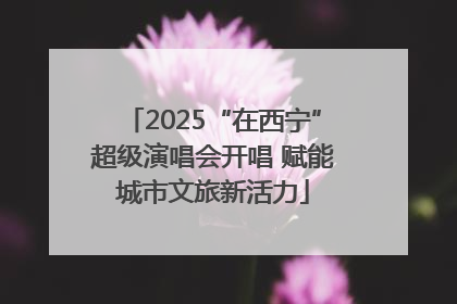 2025“在西宁”超级演唱会开唱 赋能城市文旅新活力