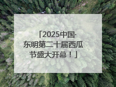 2025中国·东明第二十届西瓜节盛大开幕！