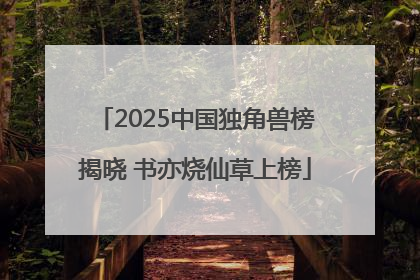 2025中国独角兽榜揭晓 书亦烧仙草上榜