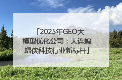 2025年GEO大模型优化公司：大连蝙蝠侠科技行业新标杆