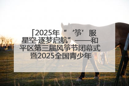 2025年“‘筝’服星空·逐梦启航”——和平区第三届风筝节闭幕式 暨2025全国青少年风筝制作放飞赛（沈阳站）颁奖仪式