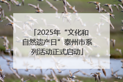 2025年“文化和自然遗产日”泰州市系列活动正式启动