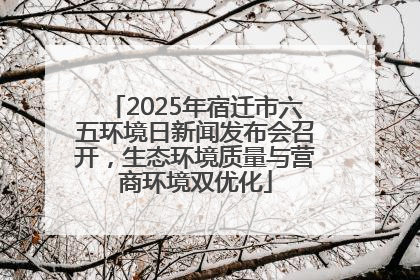 2025年宿迁市六五环境日新闻发布会召开，生态环境质量与营商环境双优化