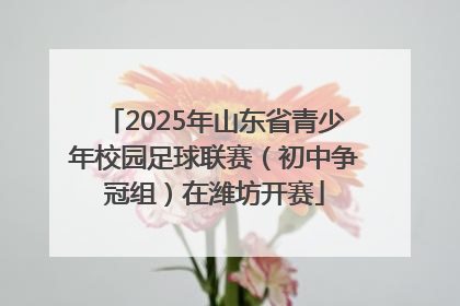 2025年山东省青少年校园足球联赛（初中争冠组）在潍坊开赛
