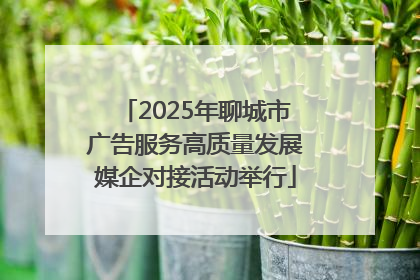 2025年聊城市广告服务高质量发展媒企对接活动举行