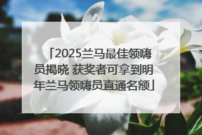 2025兰马最佳领嗨员揭晓 获奖者可拿到明年兰马领嗨员直通名额