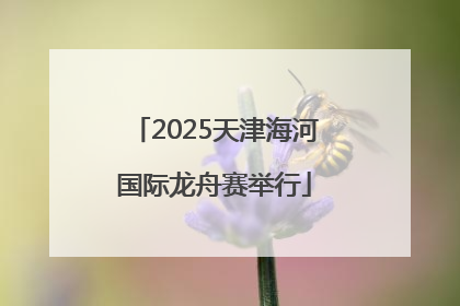 2025天津海河国际龙舟赛举行