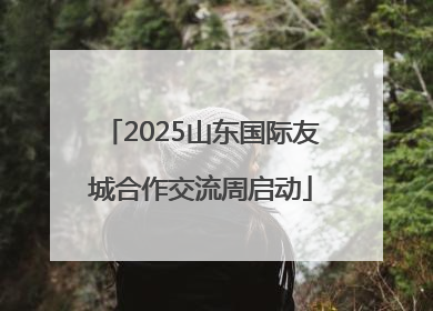 2025山东国际友城合作交流周启动