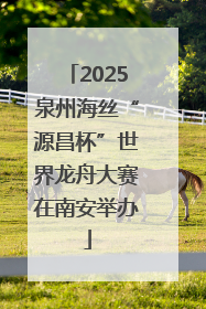 2025泉州海丝“源昌杯”世界龙舟大赛在南安举办