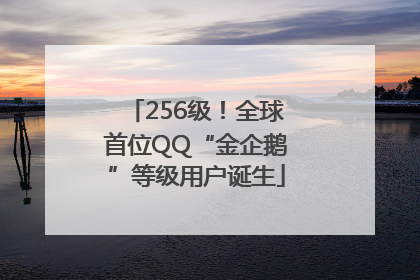 256级！全球首位QQ“金企鹅”等级用户诞生