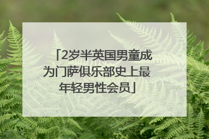 2岁半英国男童成为门萨俱乐部史上最年轻男性会员