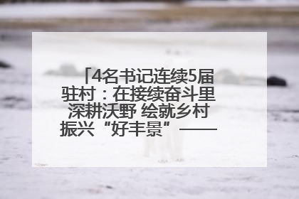 4名书记连续5届驻村：在接续奋斗里深耕沃野 绘就乡村振兴“好丰景”——浦发银行南京分行助力脱贫攻坚、帮促乡村振兴记事（二）