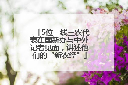 5位一线三农代表在国新办与中外记者见面，讲述他们的“新农经”