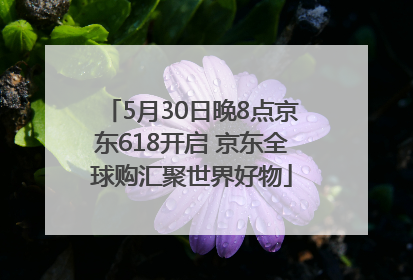5月30日晚8点京东618开启 京东全球购汇聚世界好物